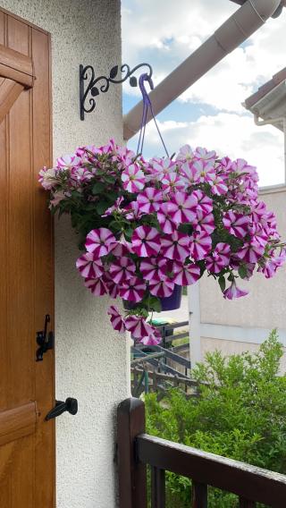 Fleuriste Chez Maria De Smet 2