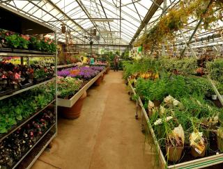 Fleuriste Chez Maria De Smet 0