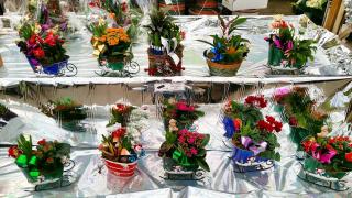 Fleuriste Chez Maria De Smet 0