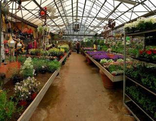 Fleuriste Chez Maria De Smet 0