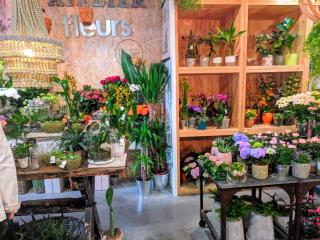 Fleuriste Côté Art Angoulême 0