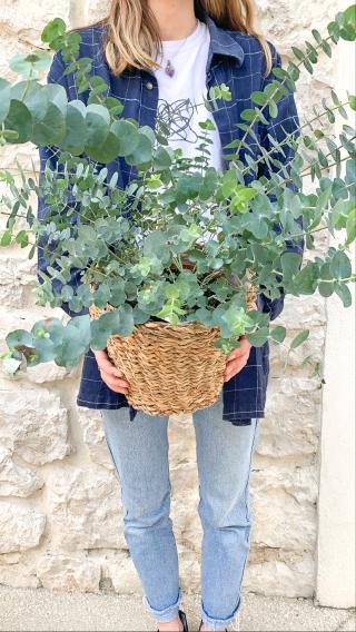 Fleuriste La Vie en Rose 0