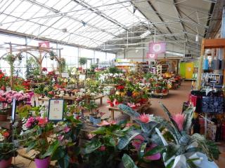 Fleuriste Delbard DENORMANDIE 0