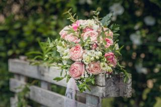 Fleuriste Fleur d'Arum 1