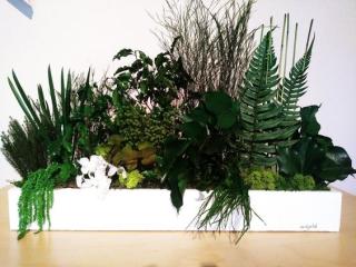 Fleuriste Sevegetal 0