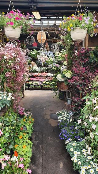 Fleuriste Shawnee Plantshop 0