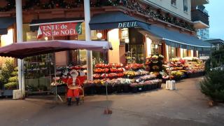 Fleuriste Creati'Flor 0