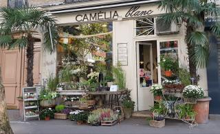 Fleuriste Camelia Blanc Fleuriste 0