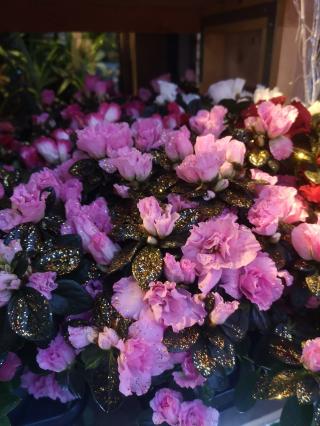 Fleuriste FLEURS DE LA PASSION 0