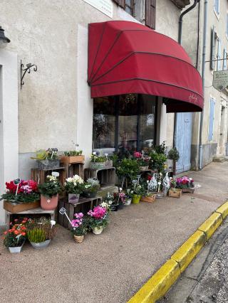 Fleuriste A FLEUR DE POT 0