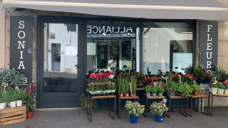 Fleuriste Sonia Fleurs - Artisan fleuriste 0