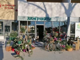 Fleuriste Brin d'Herbe, Artisan Fleuriste Canet 0