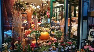 Fleuriste Fleurs Sauvages 0
