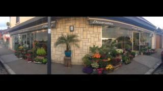 Fleuriste Cosy garden 0