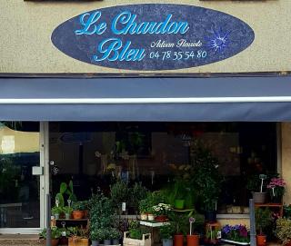 Fleuriste Le Chardon Bleu 0