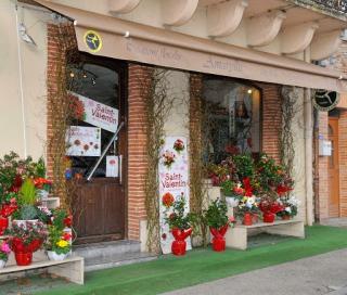 Fleuriste Amaryllis Fleurs 0