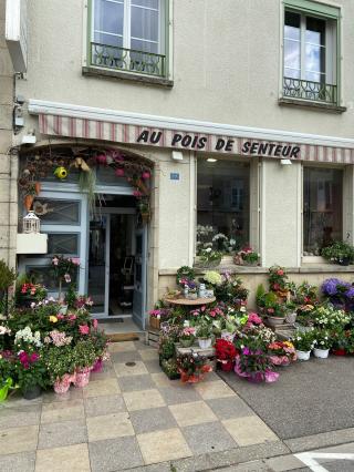 Fleuriste Au Pois de Senteur 0