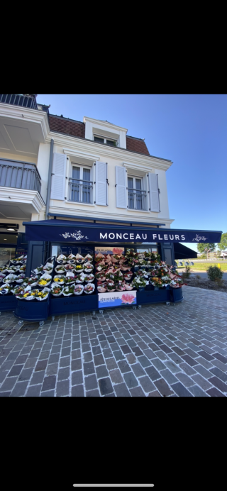 Fleuriste Monceau Fleurs 0