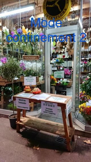 Fleuriste Ophelie Fleurs 0