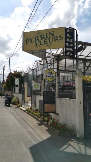 Fleuriste Perrin Fleurs 0