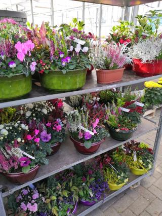 Fleuriste Le Jardinier Sarl 0