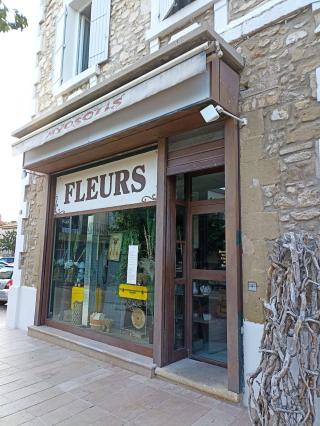 Fleuriste Fleurs Myosotls 0