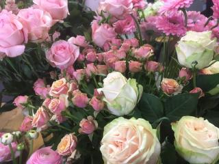 Fleuriste ROSES et botanique 0