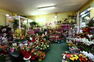 Fleuriste Vert Fleuri, Fleuriste Périgueux 0