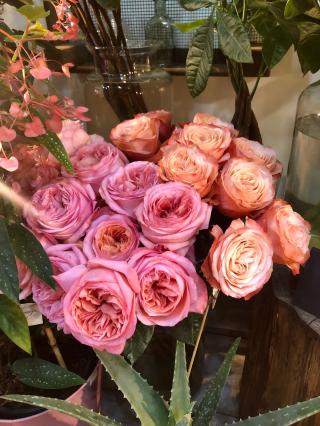 Fleuriste Épines De Paradis - Fleuriste Marseille 0