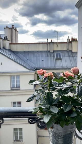 Fleuriste Au Nom De La Rose 0