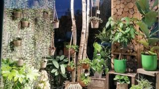 Fleuriste Aux Fleurs Et A Mesure 0