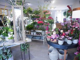 Fleuriste Atelier Floral, Mr Max 0