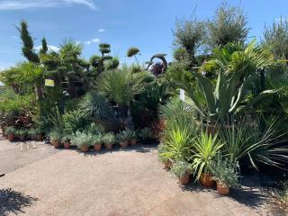 Fleuriste Garden Chambry 1