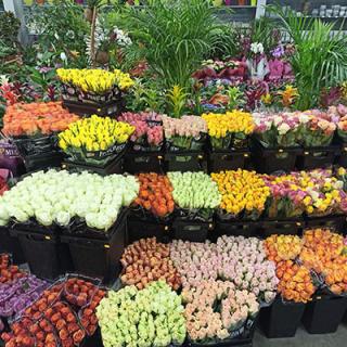 Fleuriste Garden Chambry 0