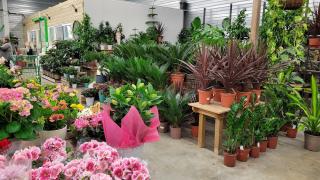 Fleuriste Garden Chambry 0