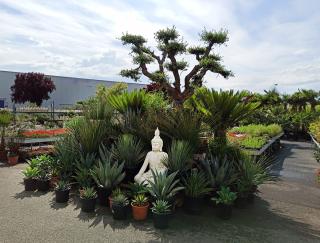 Fleuriste Garden Chambry 0