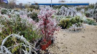 Fleuriste Garden Chambry 0