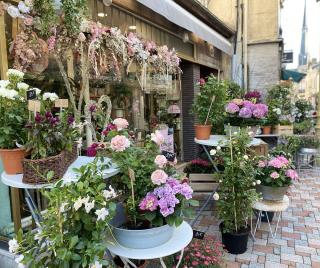 Fleuriste Les Secrets d'une Fleur 0