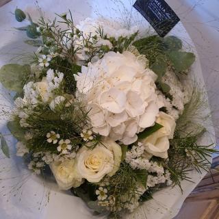 Fleuriste Camelia Blanc Fleuriste 0