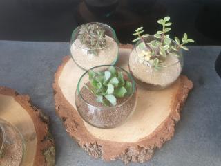 Fleuriste DE SAINT JORES FLORAL 0