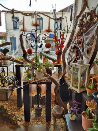 Fleuriste Bouquets du Monde - La Boutique 0