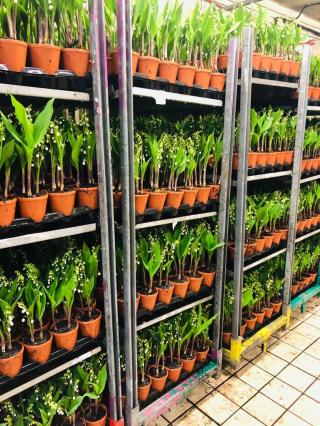 Fleuriste Les Bouquetiers - Artisan fleuriste ecoresponsable 0