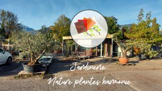 Fleuriste Nature Plantes Harmonie 2