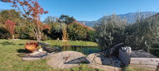 Fleuriste Nature Plantes Harmonie 0