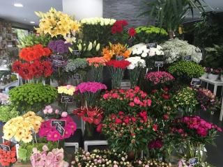 Fleuriste L'Essence Même 0