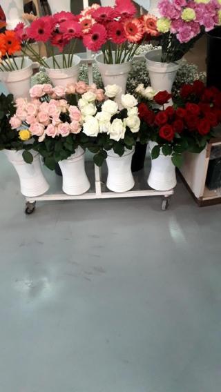 Fleuriste Franchet Sarl 0