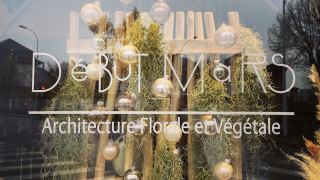 Fleuriste Début Mars - Architecture florale 1