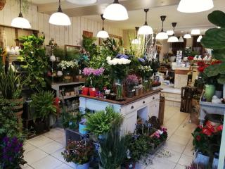 Fleuriste Au Jardin d'Églantine 0