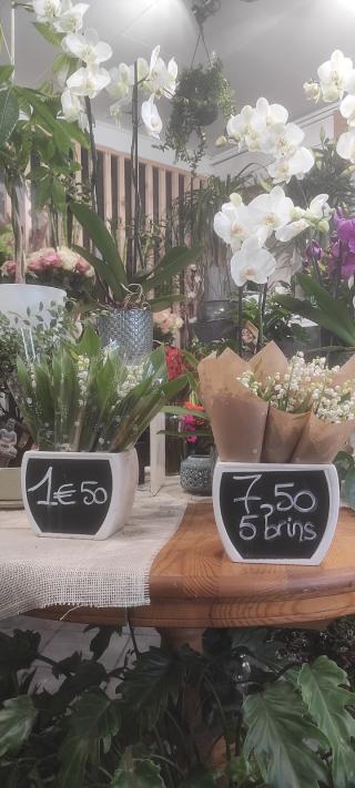 Fleuriste Des Lys d'Arômes 1