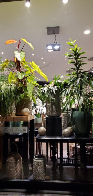 Fleuriste COQUELICOT 0